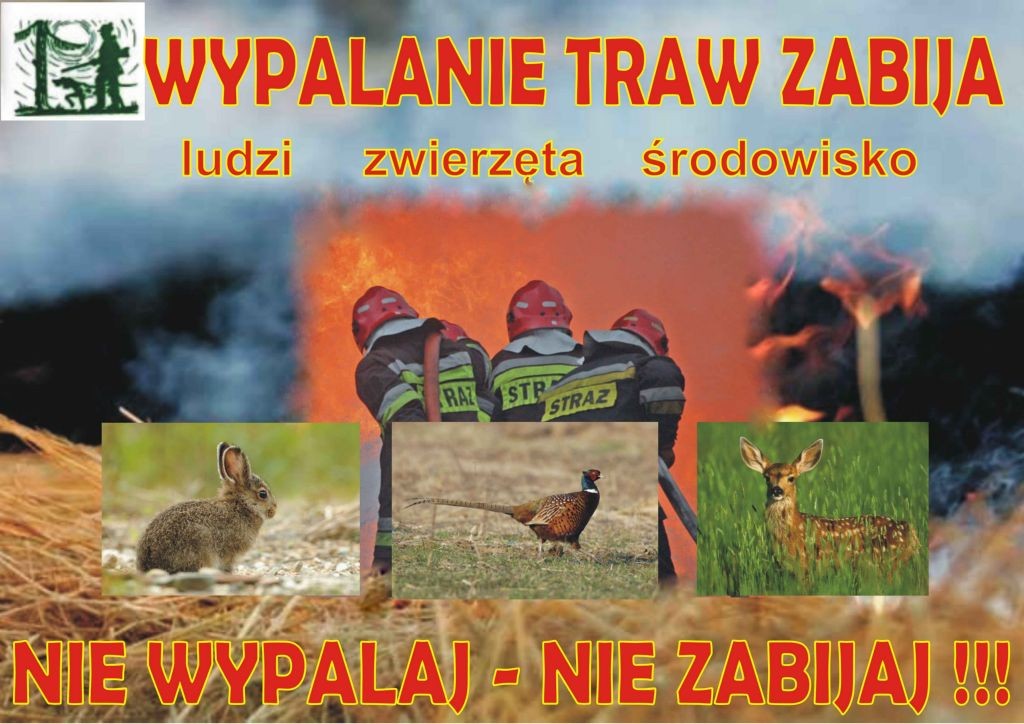 plakat_trawy